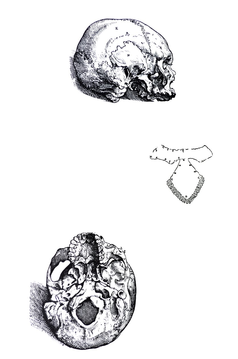 Die Tafeln aus dem ersten Buch der De Humani Corporis Fabrica von Andreas Vesalius