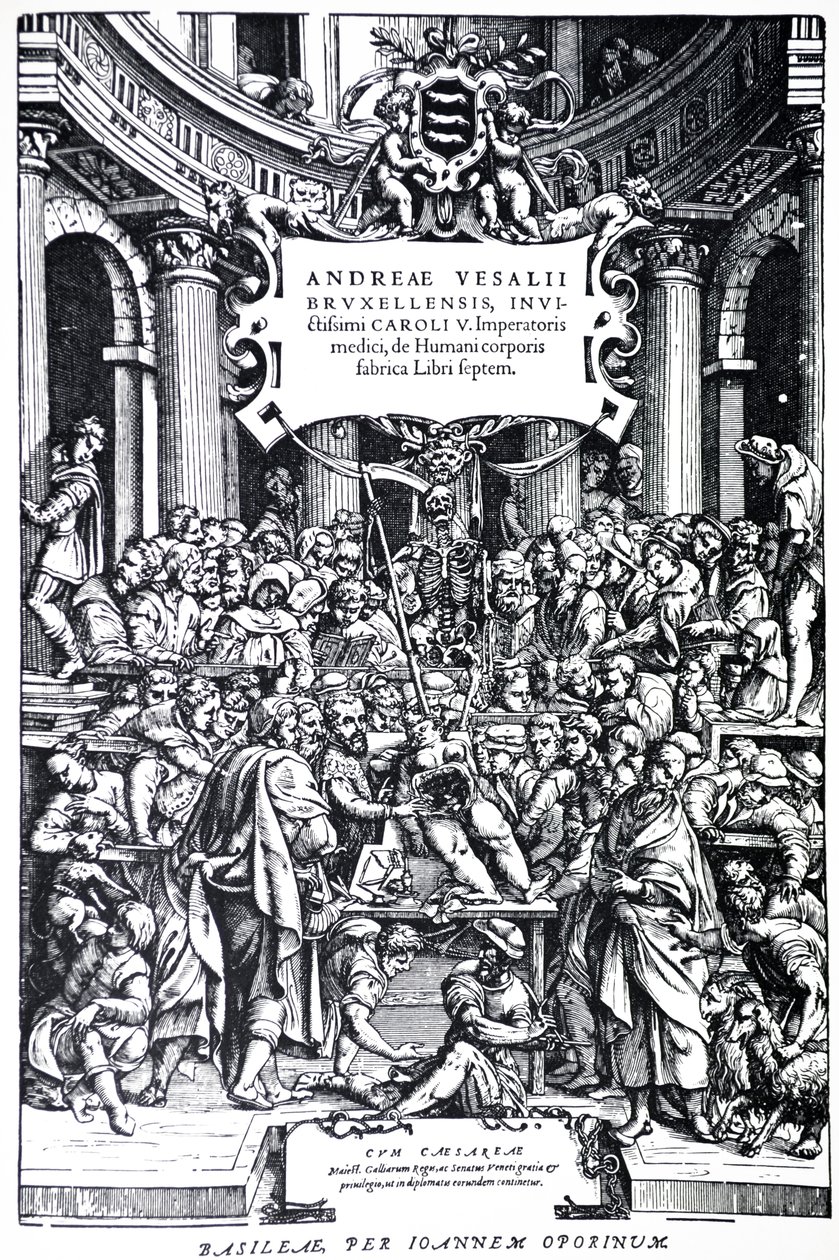 Titelseite der zweiten Ausgabe von De Humani Corporis Fabrica, Tafel 3, 1555 von Andreas Vesalius