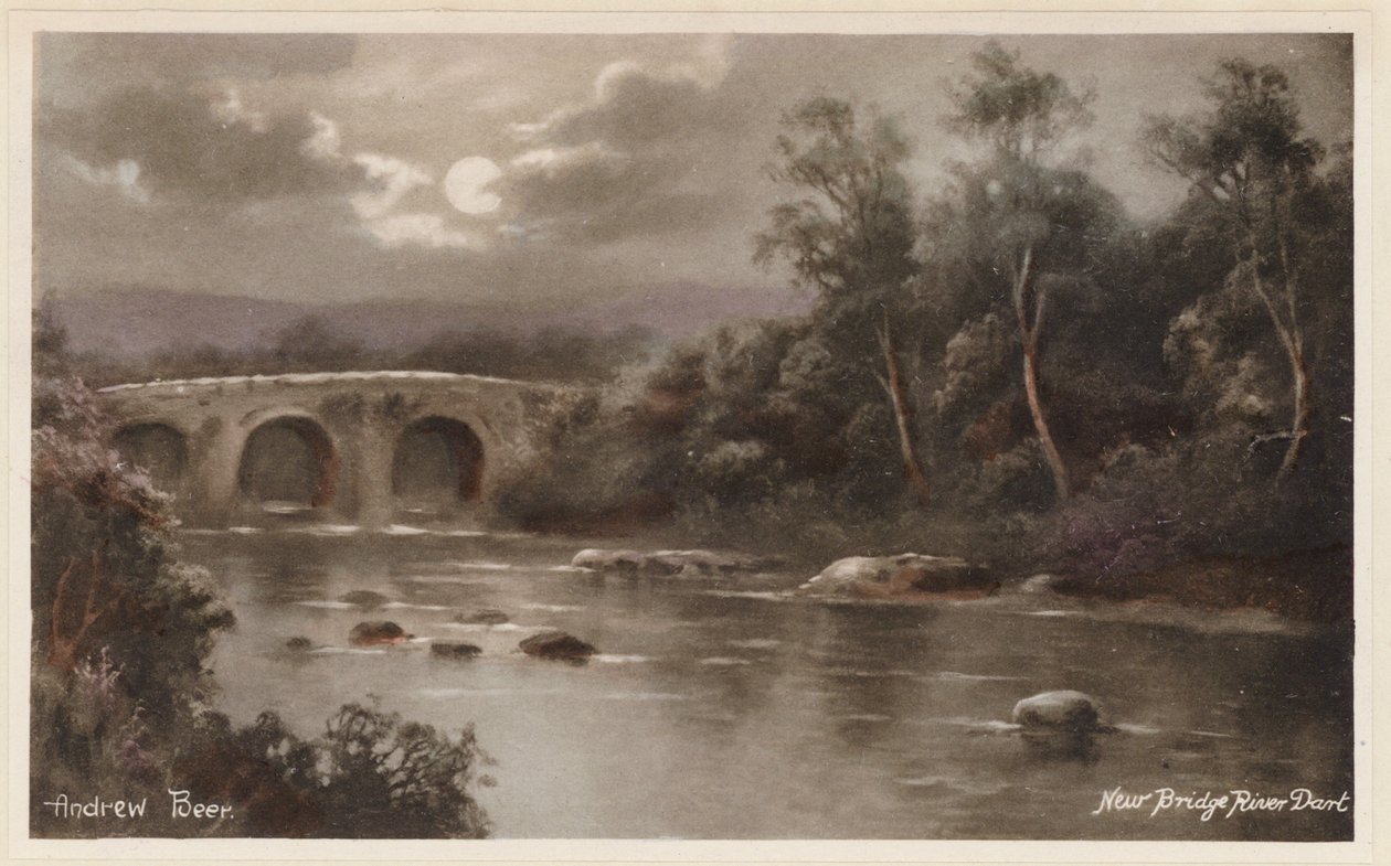 Dartmoor: Neue Brücke am Fluss Dart von Andrew Beer