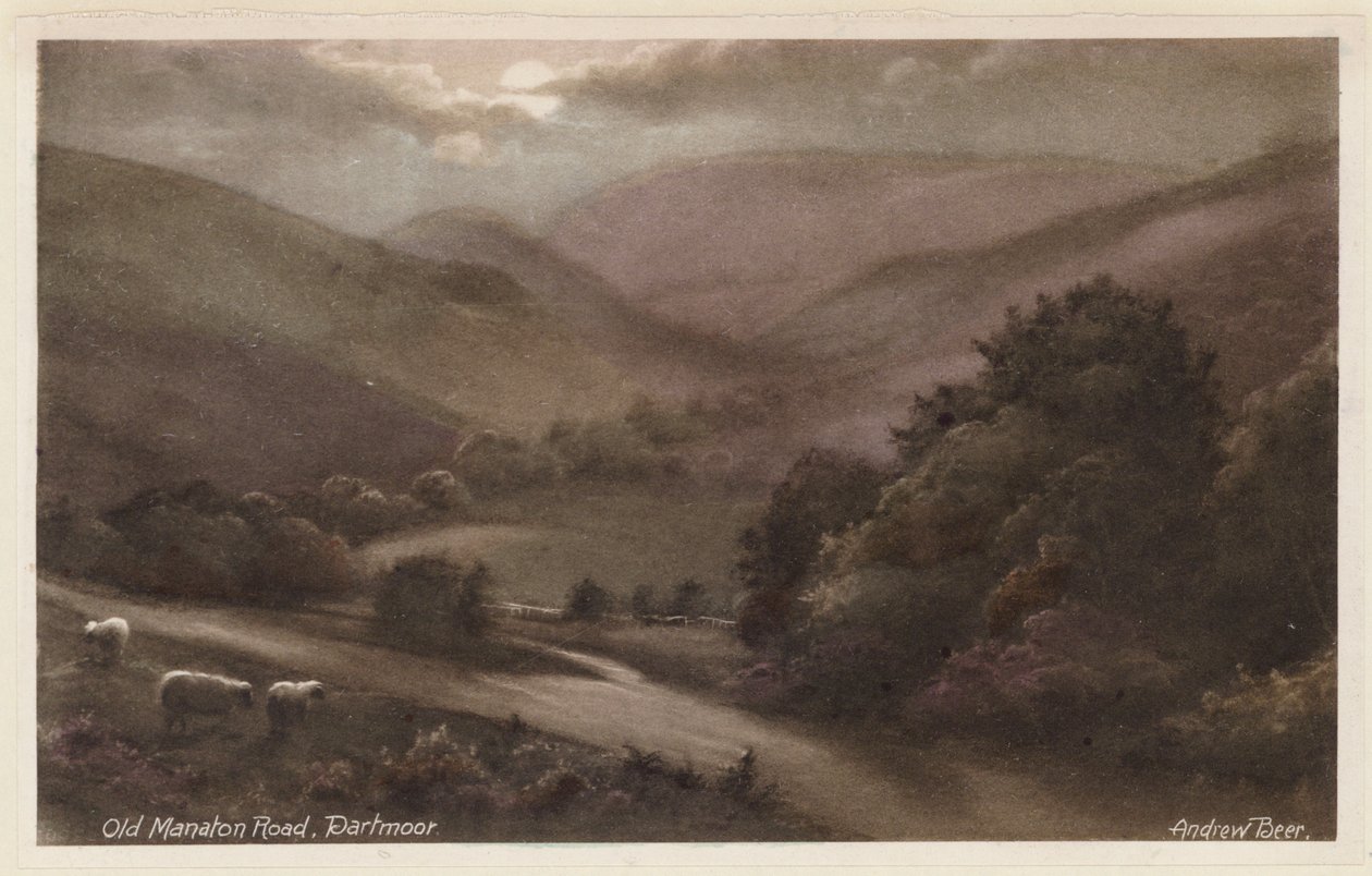 Alte Manaton Straße, Dartmoor von Andrew Beer