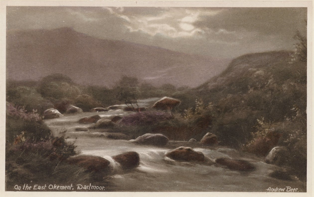 Am East Okement, Dartmoor von Andrew Beer