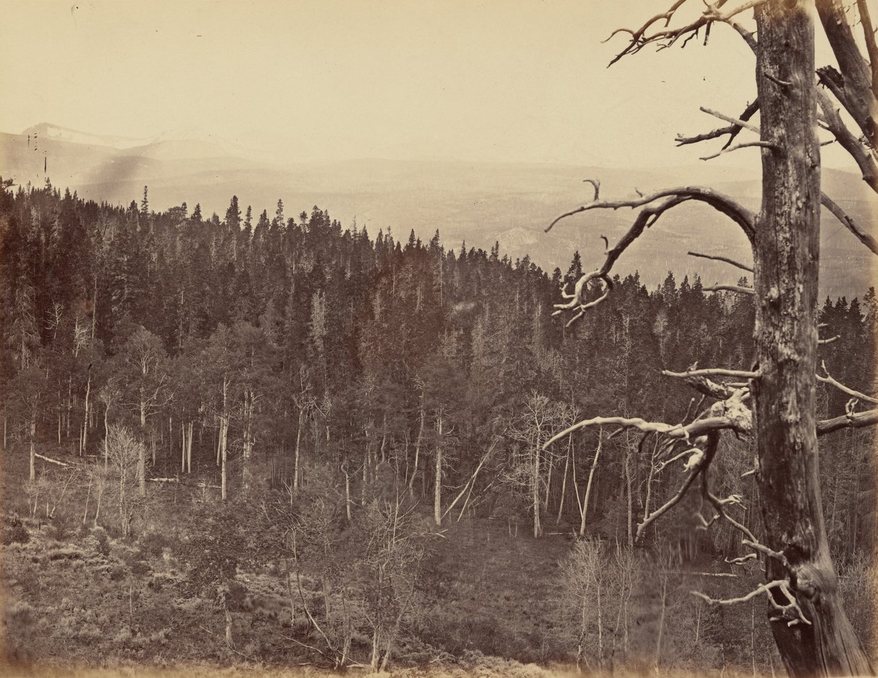 Tafel 13. Schnee- und Baumgrenze, Laramie Mountains von Andrew Joseph Russell