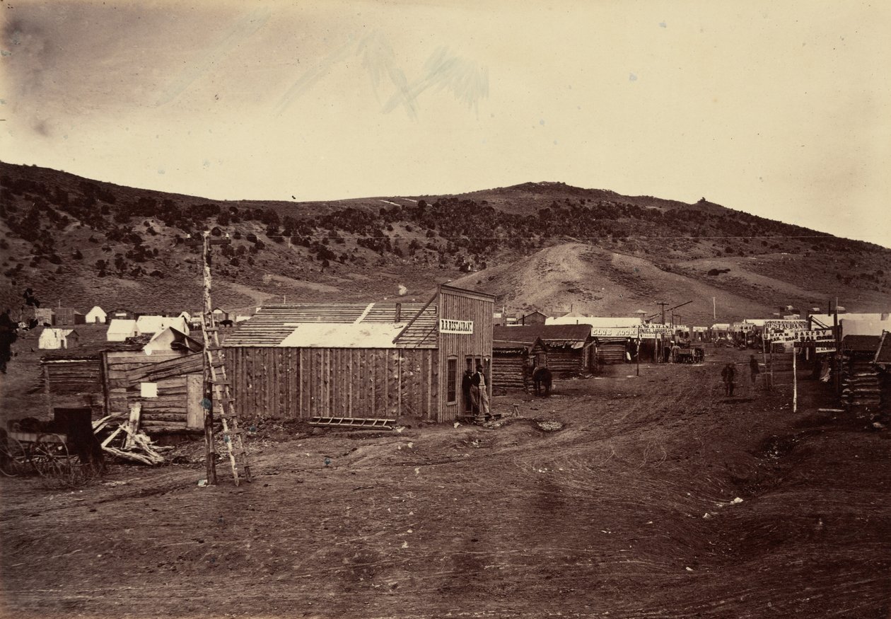 Tafel 29. Bear River City, nahe den Kohlefeldern, 1869 von Andrew Joseph Russell