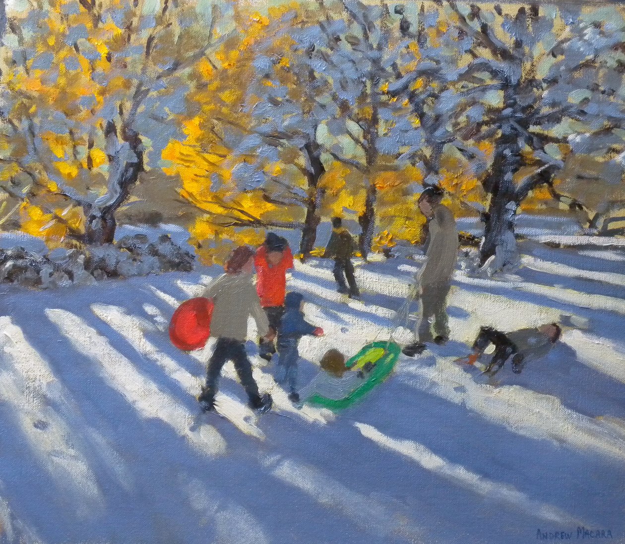 Herbstblätter und Schnee, Allestree Park von Andrew Macara