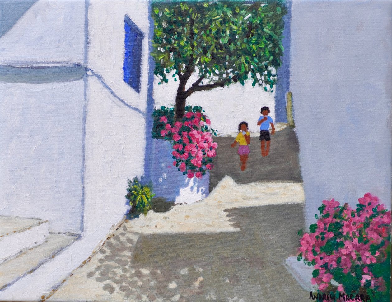 Bougainvillea, Skiathos, 2024 von Andrew Macara