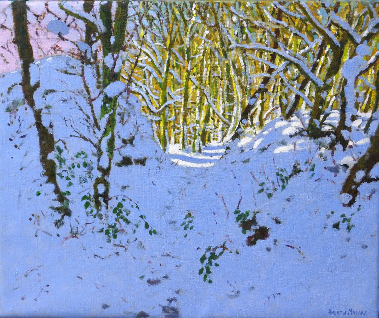 Pfad durch den Wald im Winter, Derbyshire von Andrew Macara