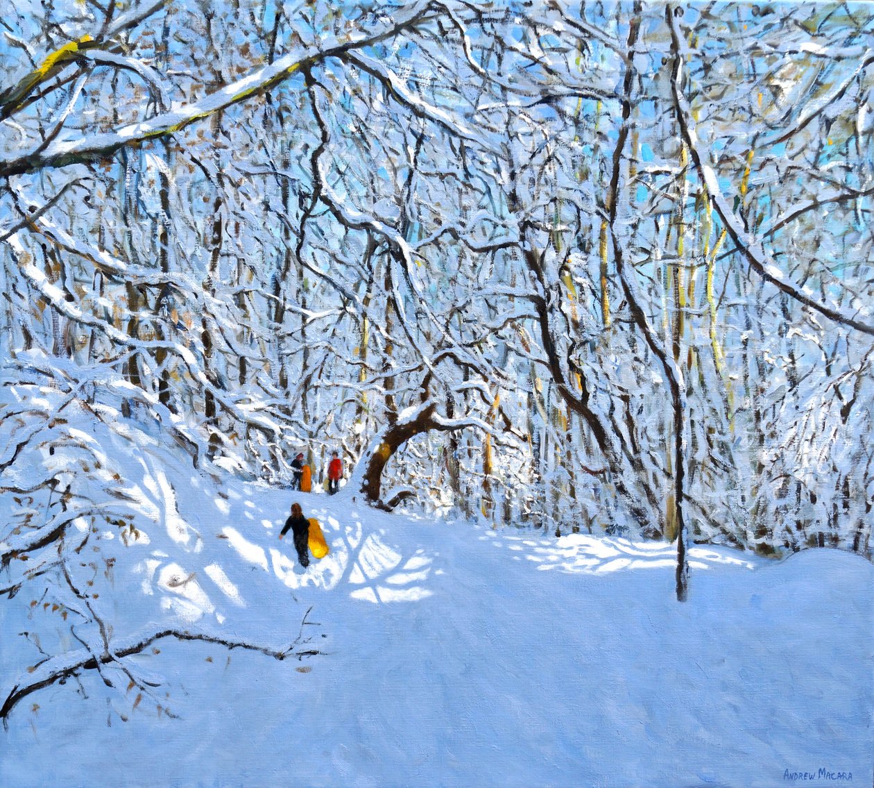 Gelbe und orange Schlitten, Allestree Park, Derby. 36 x 40, 2018 von Andrew Macara