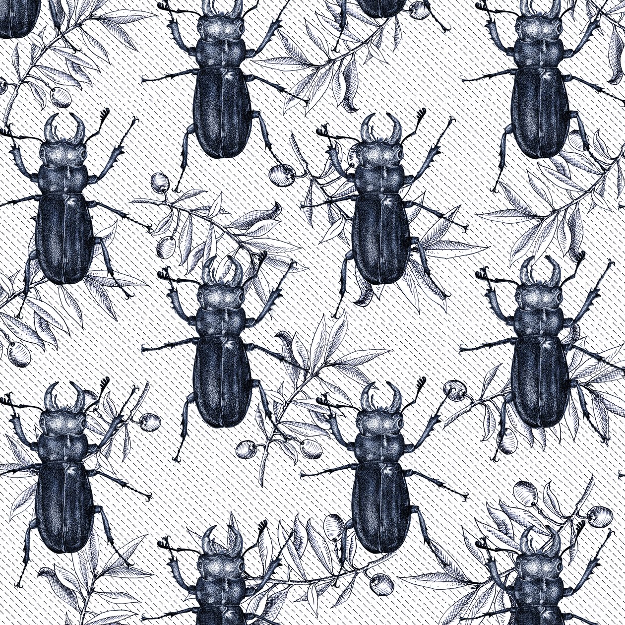 Hirschkäfer, 2017, Tinte von Andrew Watson