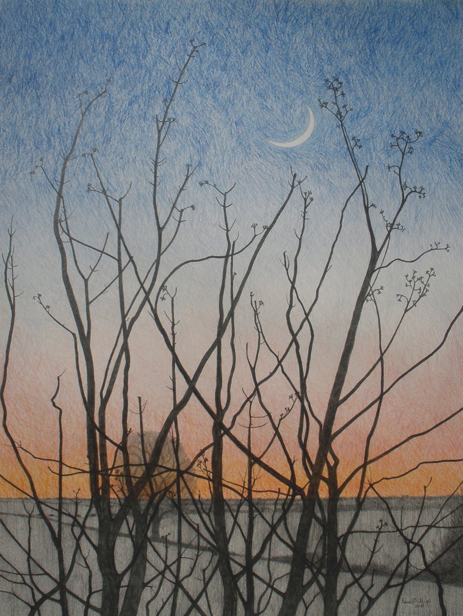 Von meinem Fenster, 2011 von Anna Phillips