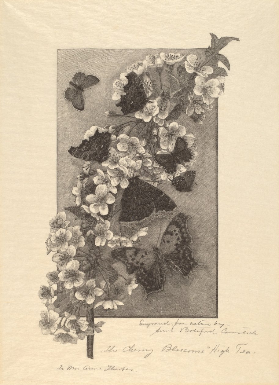 Die Kirschblüten - High Tea von Anna Botsford Comstock