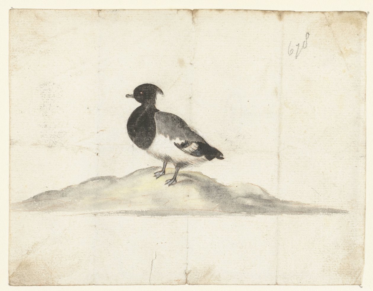 Reiherente von Anna Cornelia Moda