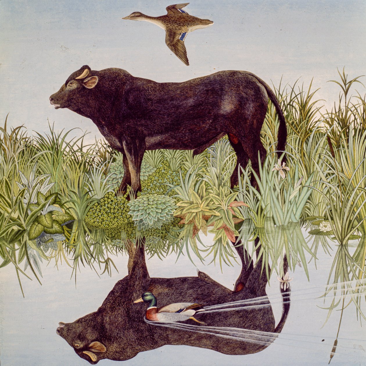 Reflektierend, 2004 von Anna Pugh