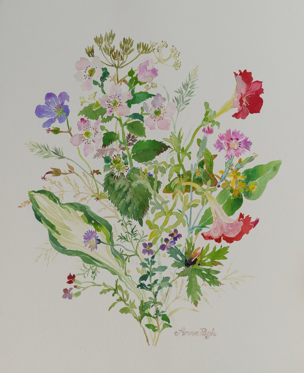 Stillleben 2 von Anna Pugh