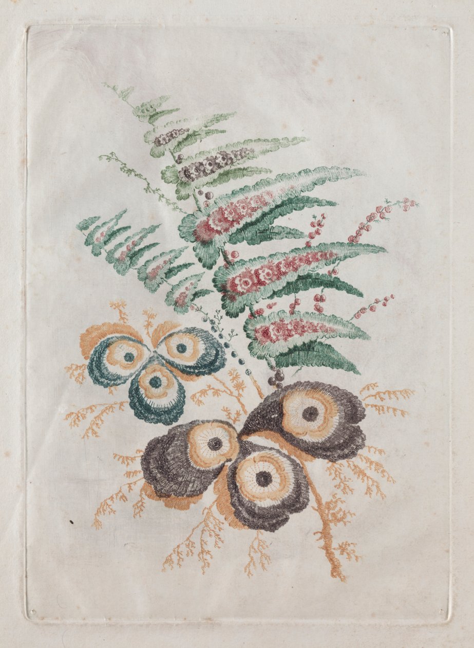 Neue Suite von Blumenportfolios ideal zum Entwerfen und Malen: Blumenfantasien von Anne Allen