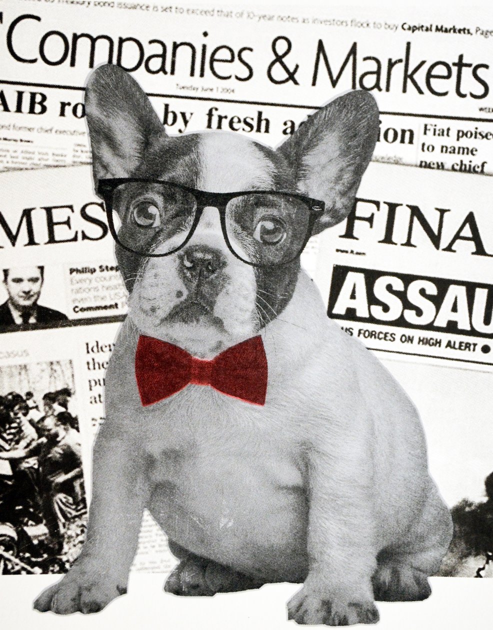 Wall Street Hund, 2015 von Anne Storno