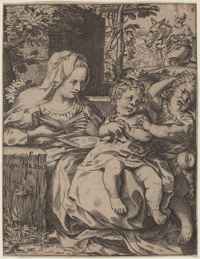 Madonna der Schwalbe von Annibale Carracci