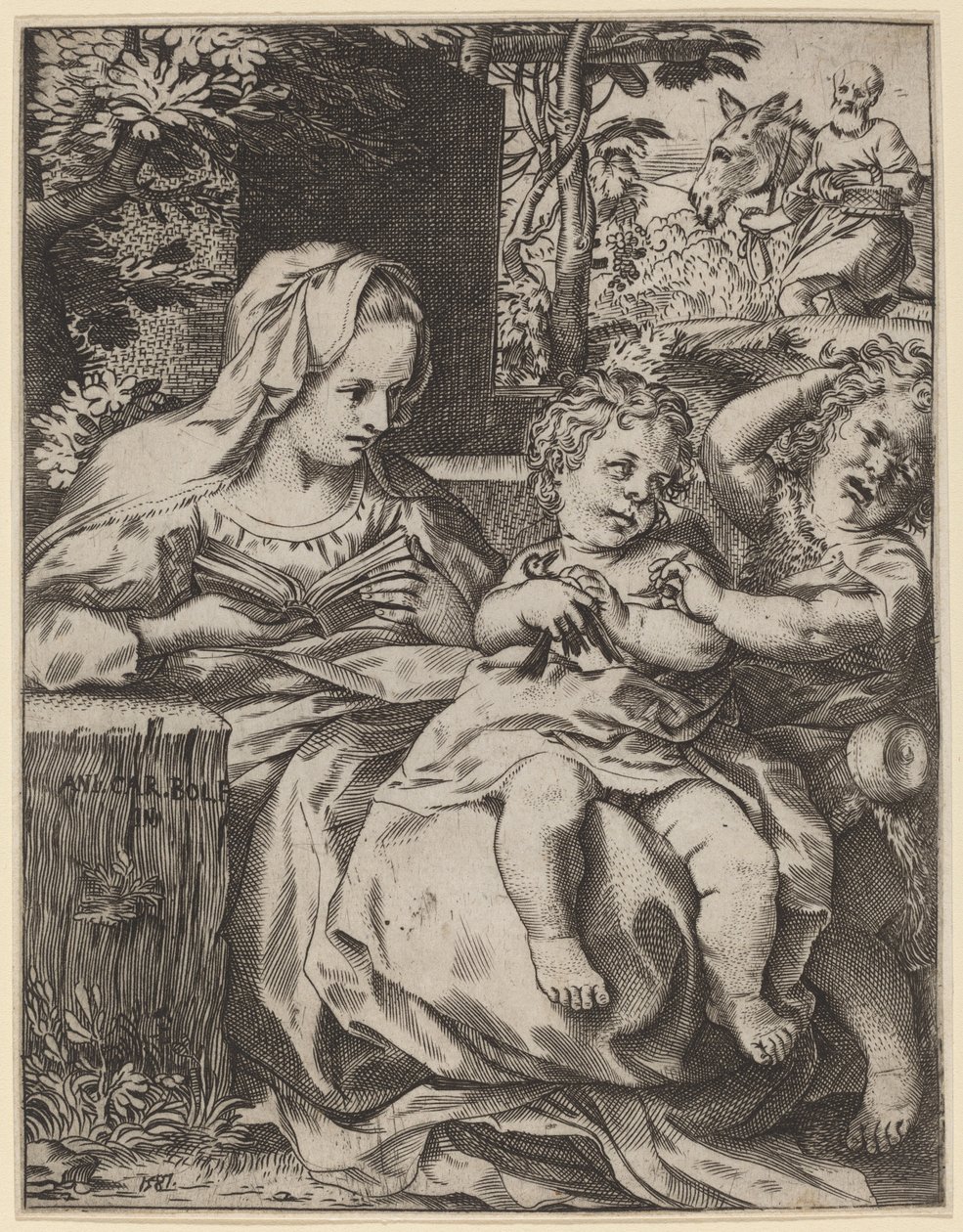 Die Madonna der Schwalbe von Annibale Carracci