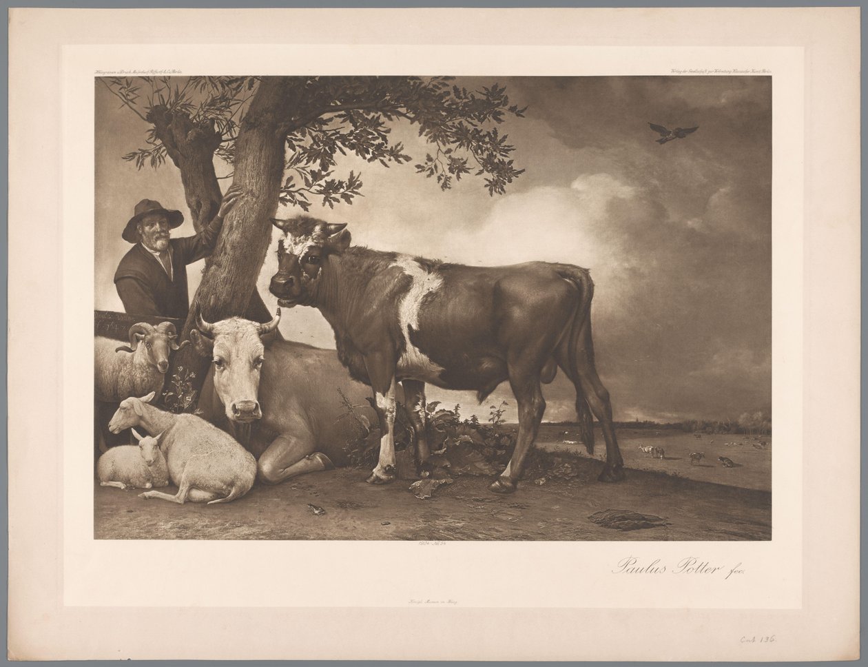 Die Stier (Paulus Potter) von Anonymous