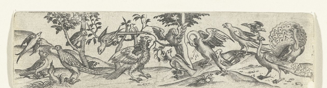Fries mit Vögeln, darunter Pfau und Pelikan von Anonymous