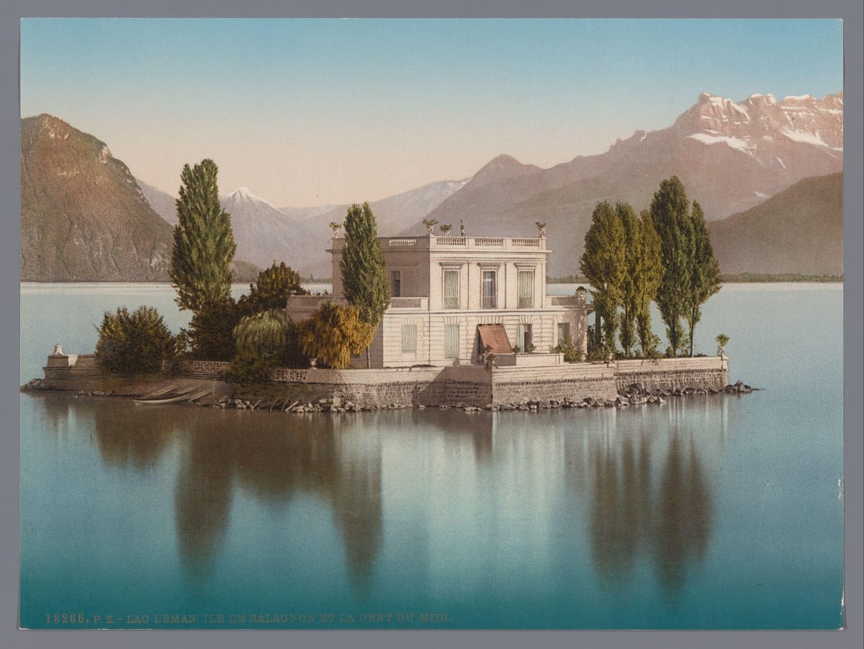 Ansicht der Île de Salagnon im Genfersee, im Hintergrund die Dents du Midi von Anonymous