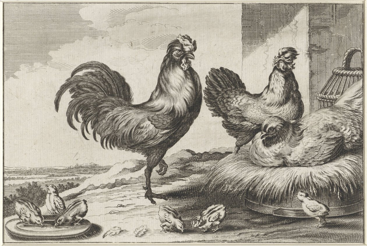 Huhn, Hähne und Küken von Anonymous