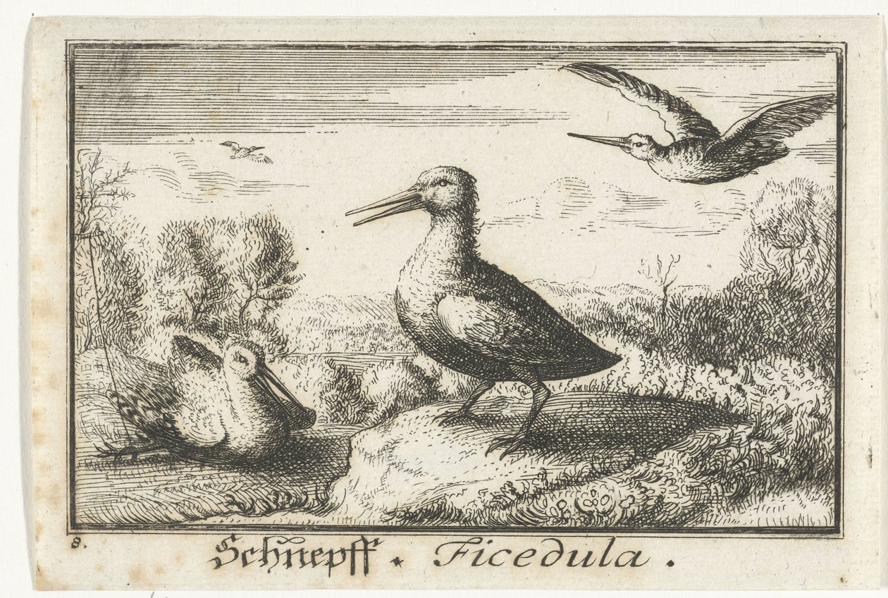 Landschaft mit drei Schnepfen von Anonymous