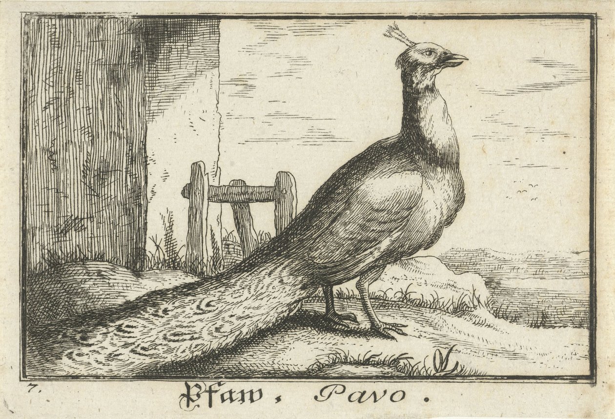 Landschaft mit Pfau von Anonymous