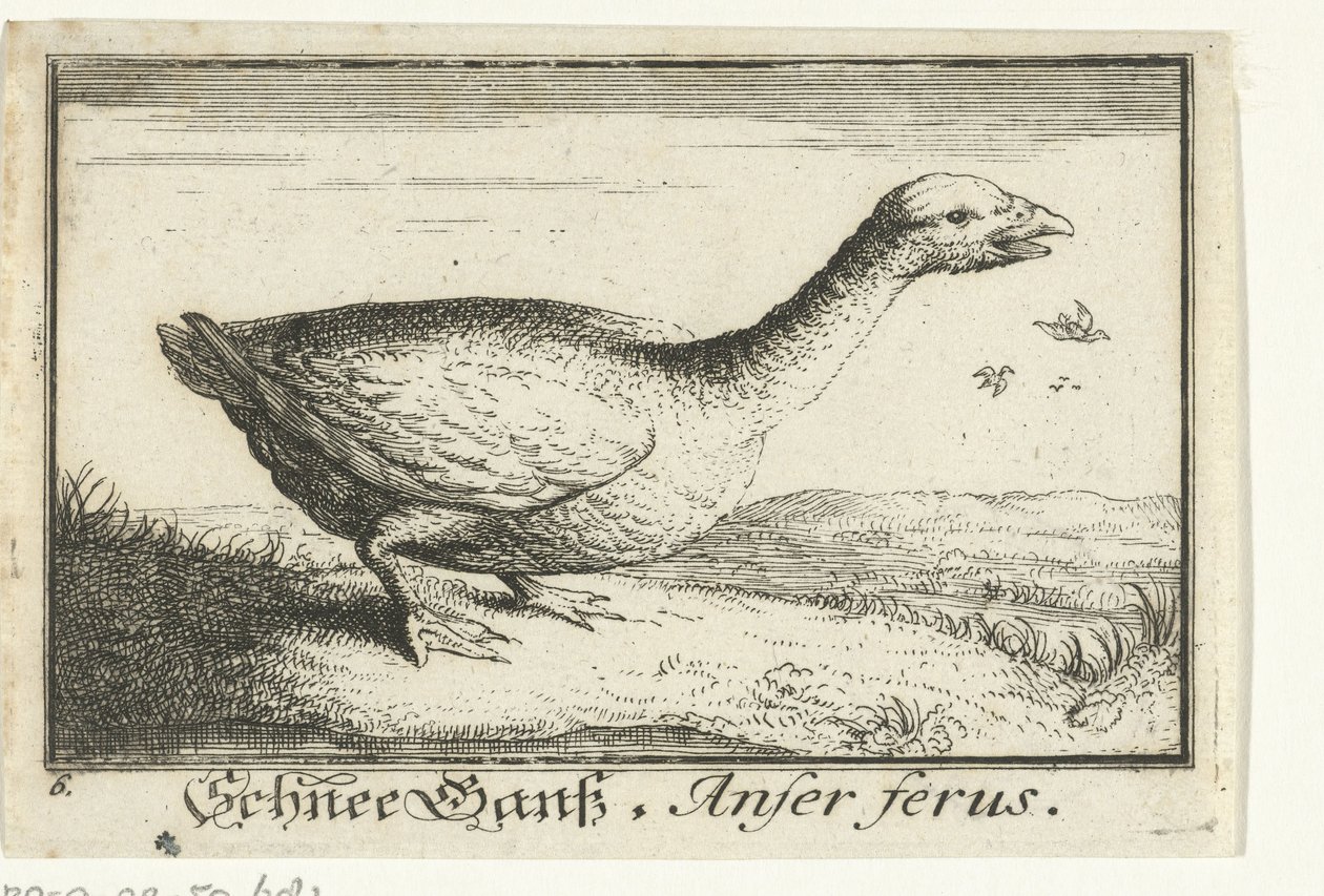 Landschaft mit Wildgans von Anonymous