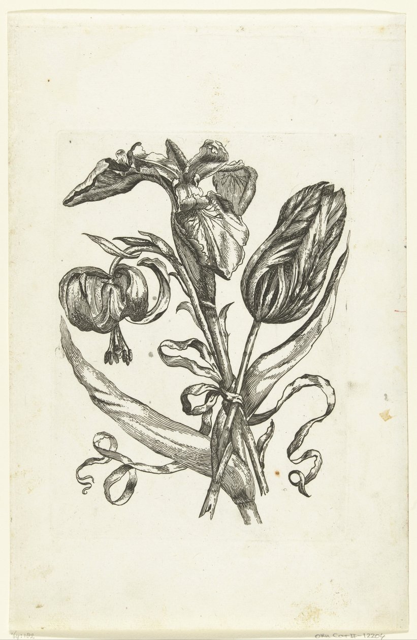 Lilie, Iris und Tulpe von Anonymous