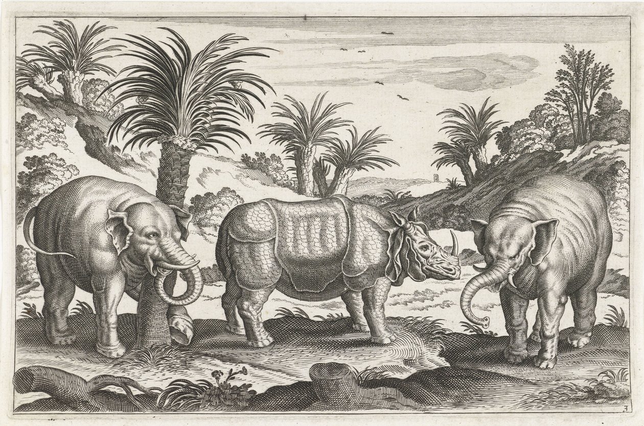Elefanten und Nashorn von Anonymous