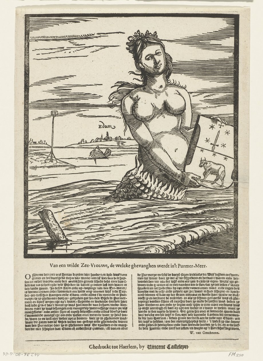 Meerjungfrau von Edam, 1403. Von einer wilden Meeresfrau, die im Purmer-Meer gefangen wurde (Titel auf dem Objekt) von Anonymous