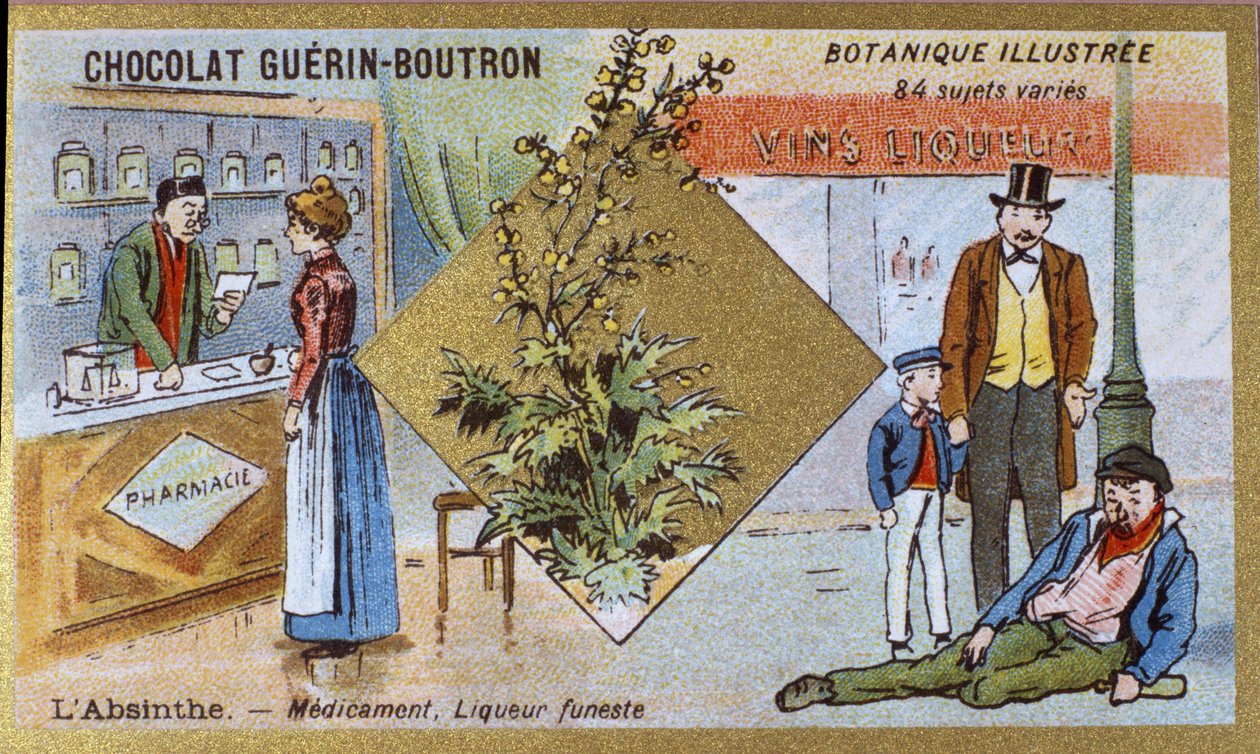 Absinth: Medizin und tödlicher Likör. Werbechromolithographie für Guerin-Boutron-Schokoladen, Ende 19. Jahrhundert. Illustrierte Botanische Serie. von Anonymous Anonymous