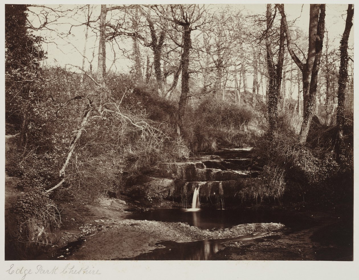 Edge Park, Cheshire, ca. 1865 von Anonymous Anonymous