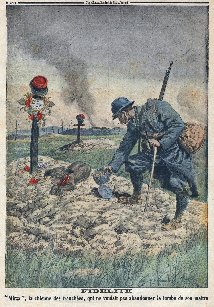 Erster Weltkrieg 1914-1918. Ein Hund weigert sich, das Grab seines toten Herrn im Schützengraben zu verlassen. In „Le Petite Journal“, am 10.09.1916. Private Sammlung von Anonymous Anonymous
