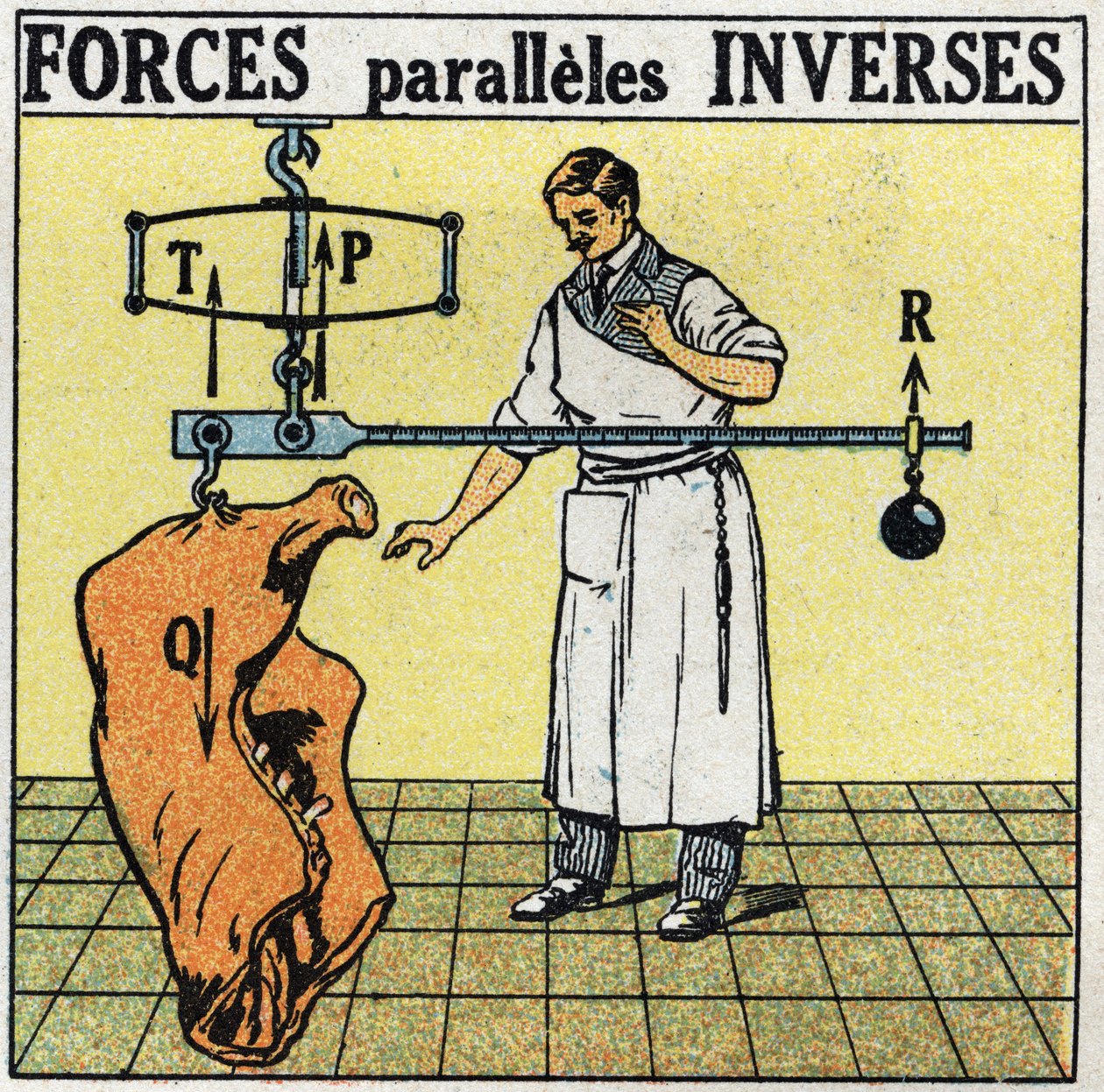 Kräfte: entgegengesetzte parallele Kräfte. Ein Metzger, der ein Fleischstück mit einer römischen Waage wiegt. Anonyme Illustration von 1925. Privatsammlung. von Anonymous Anonymous