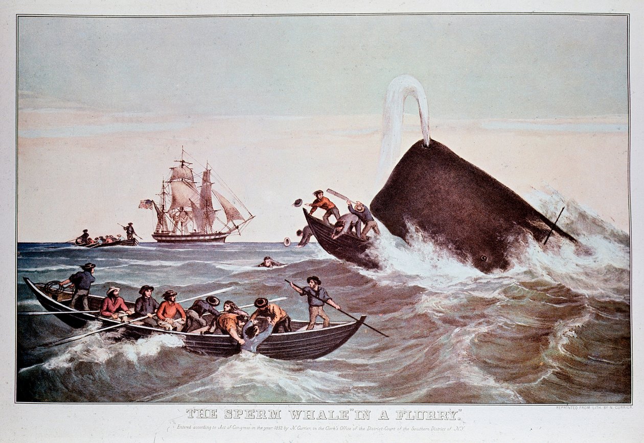 Pottwale im Strudel, kentern kleine Boote. Lithographie aus dem frühen 19. Jahrhundert Private Sammlung von Anonymous Anonymous
