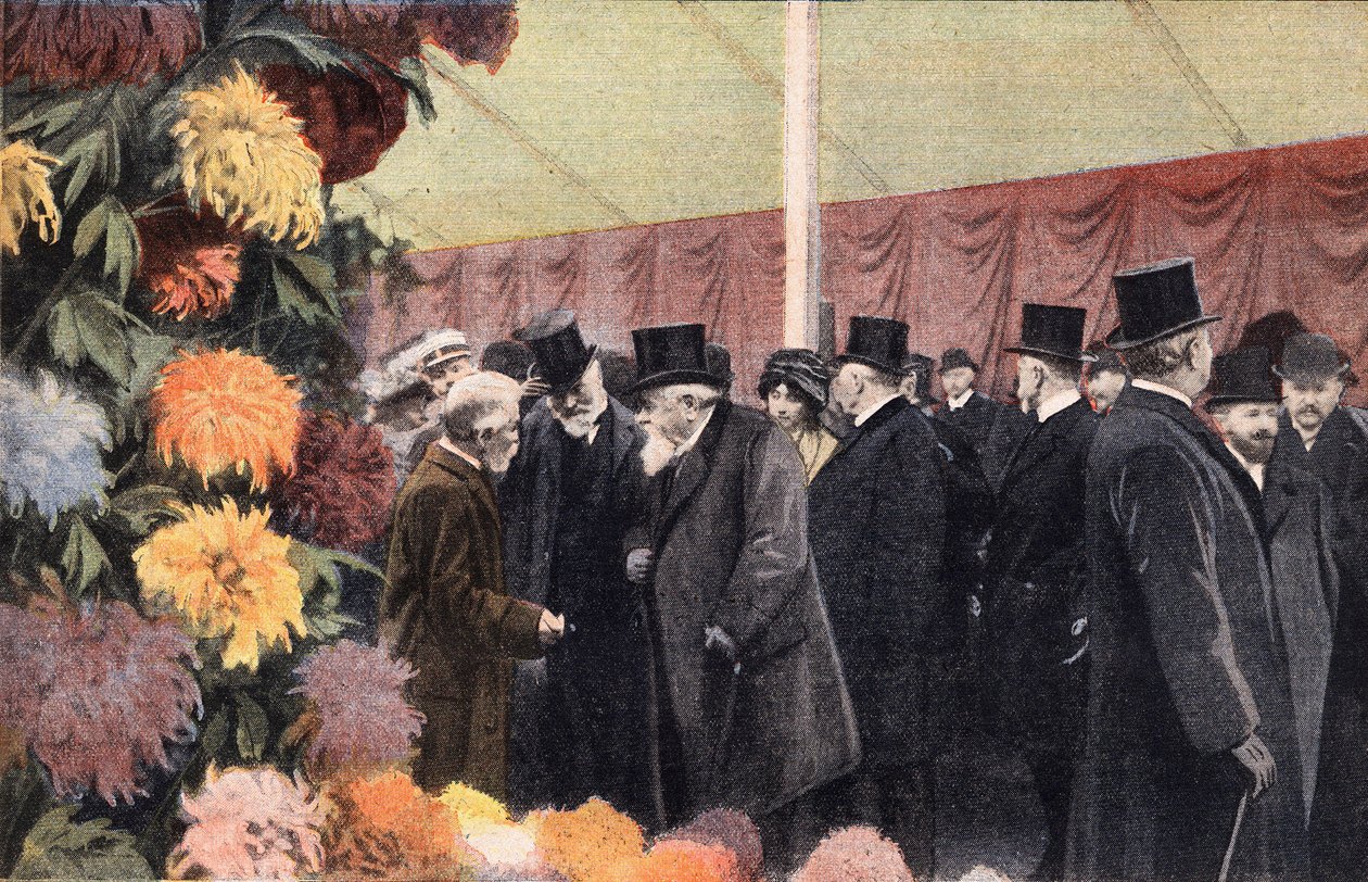 Die Chrysanthemen-Party: Offizielle Chrysanthemen-Ausstellung. Gravur. Aus der Zeitung „Le petit parisien“ am 20.11.1910. Private Sammlung. von Anonymous Anonymous