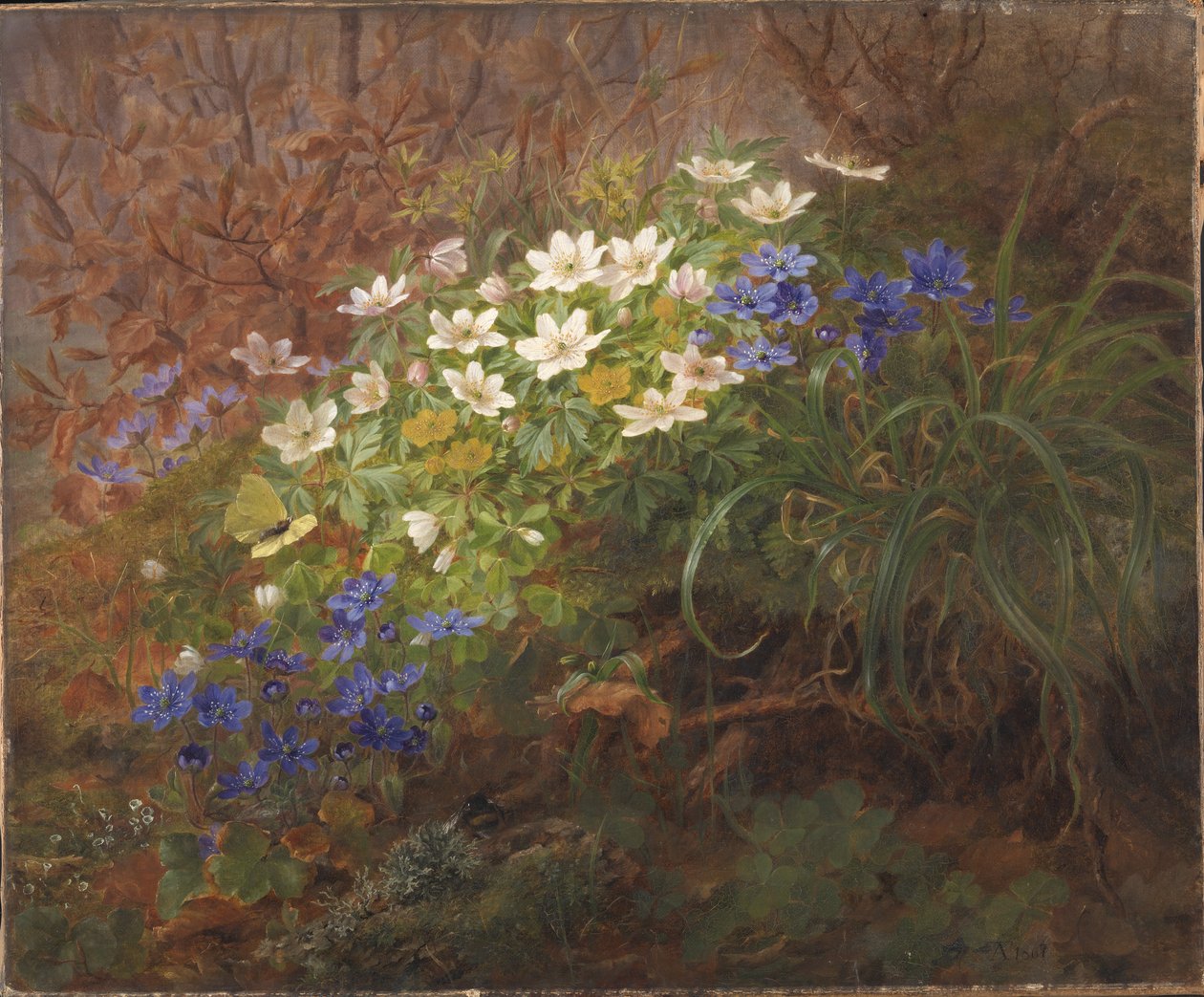 Anemonen von Anthonie Christensen