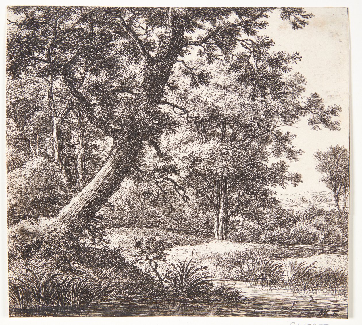 Bach mit einem geneigten Baum von Anthonie Waterloo