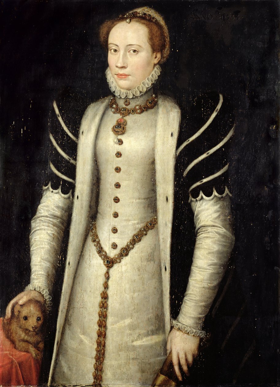 Porträt einer Adligen mit einem Welpen, 1555 von Anthonis Mor