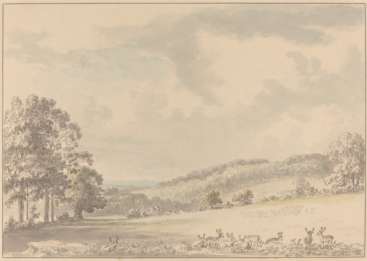 Hirsche ruhen im Albury Park von Anthony Devis