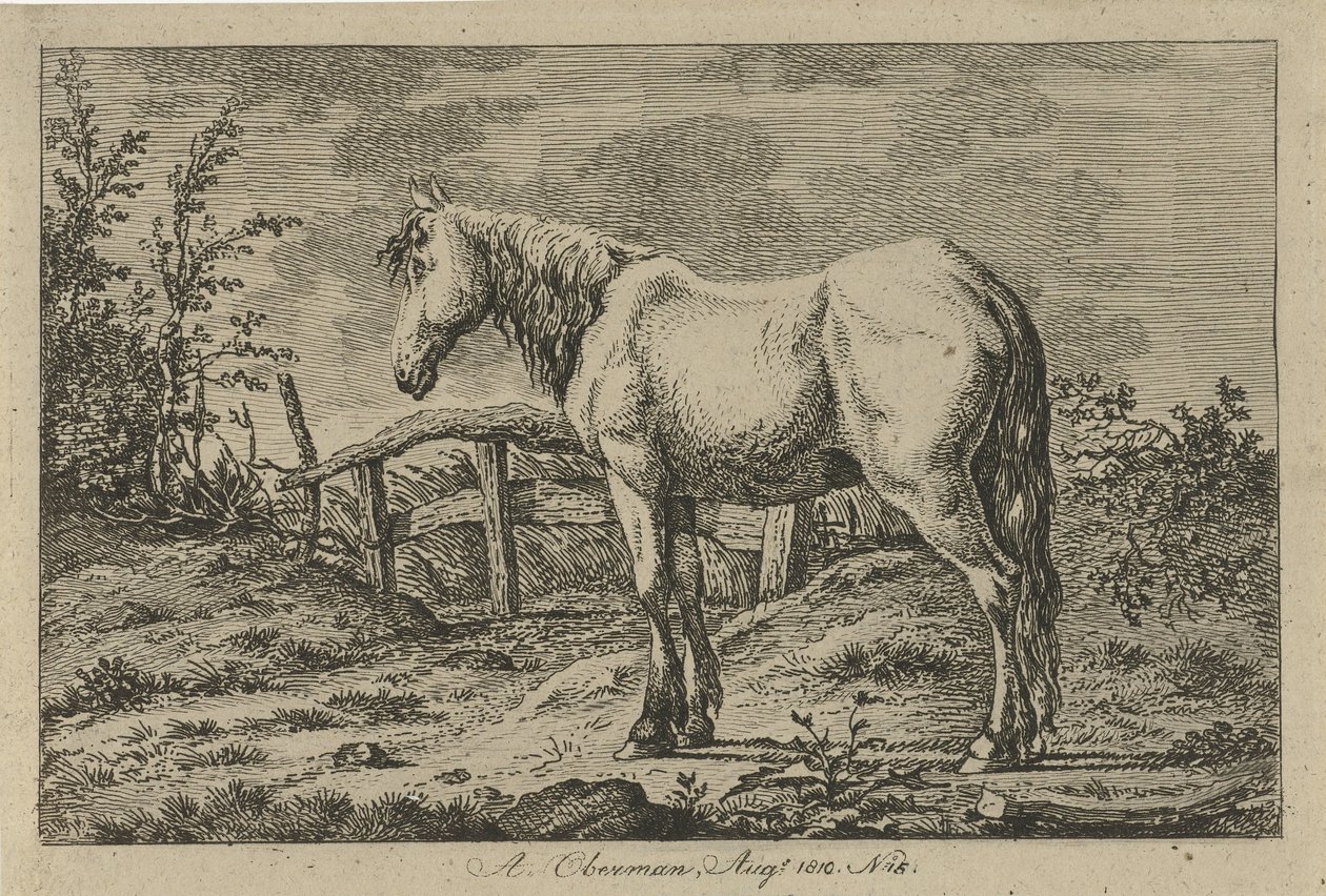 Stehendes Pferd von Anthony Oberman