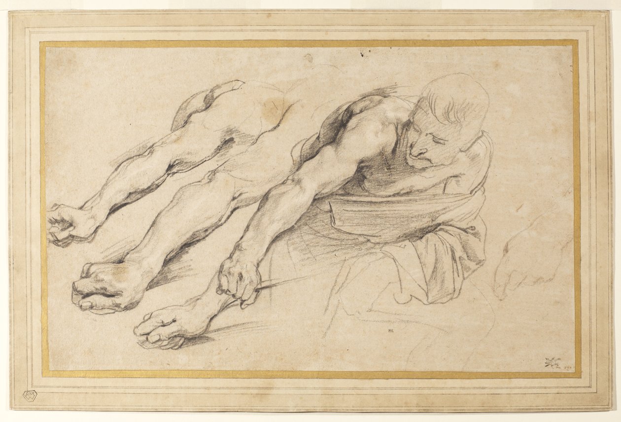Figur eines Mannes, der sich nach vorne beugt, mit ausgestrecktem rechten Arm; drei Studien des rechten Arms und eine der linken Hand für dieselbe Figur (Kreide auf Papier) von Anthony van Dyck
