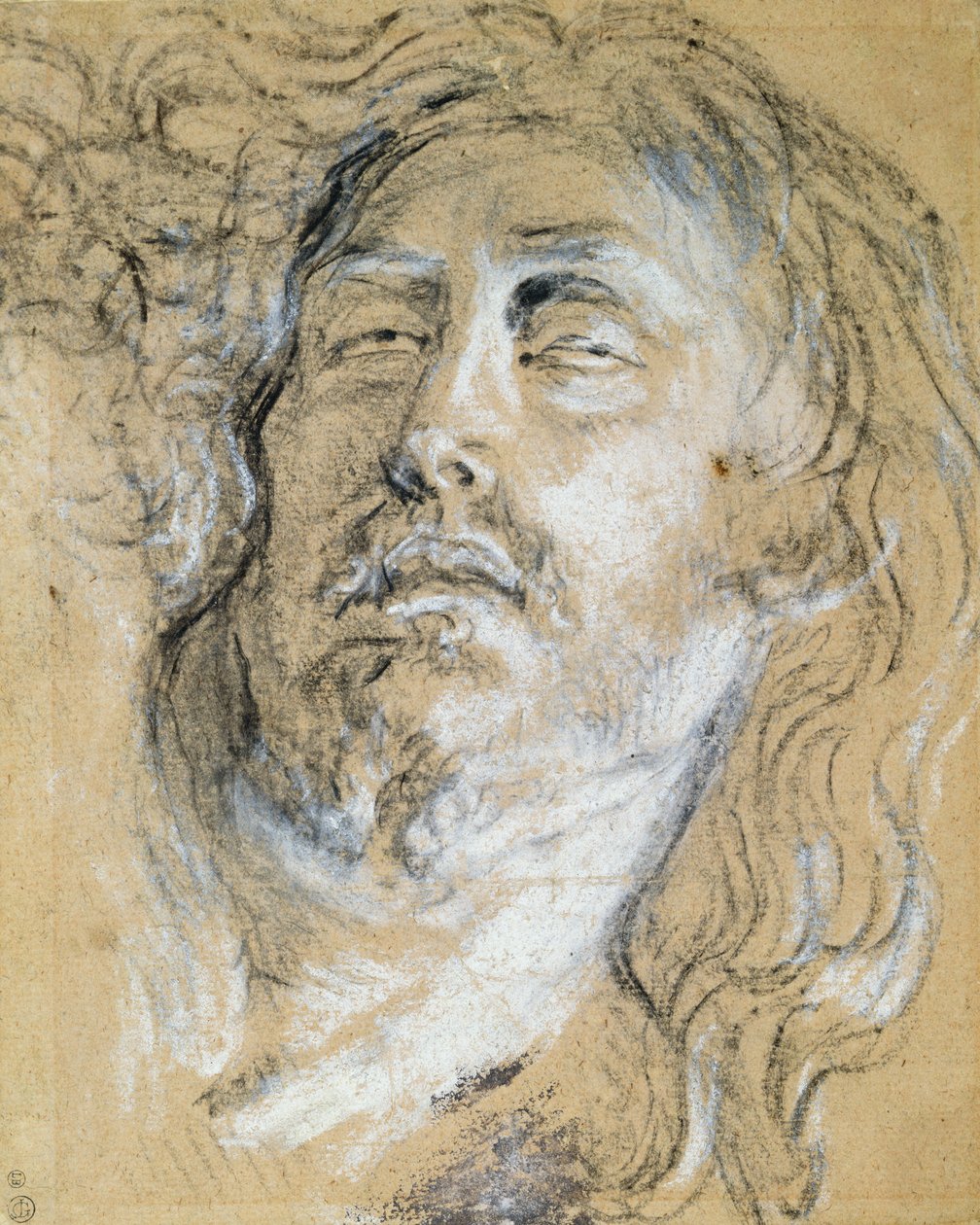 Kopf des toten Christus von Anthony van Dyck