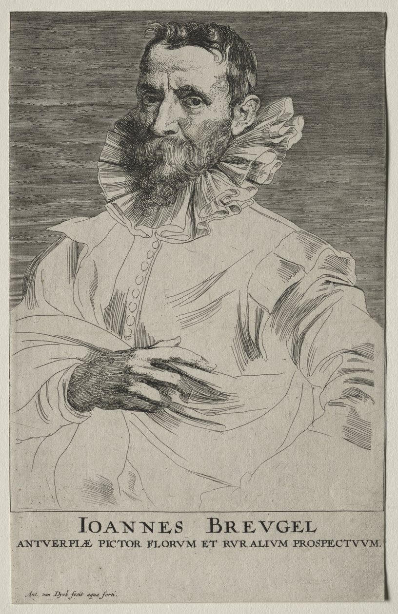 Porträt von Jan Brueghel von Anthony van Dyck