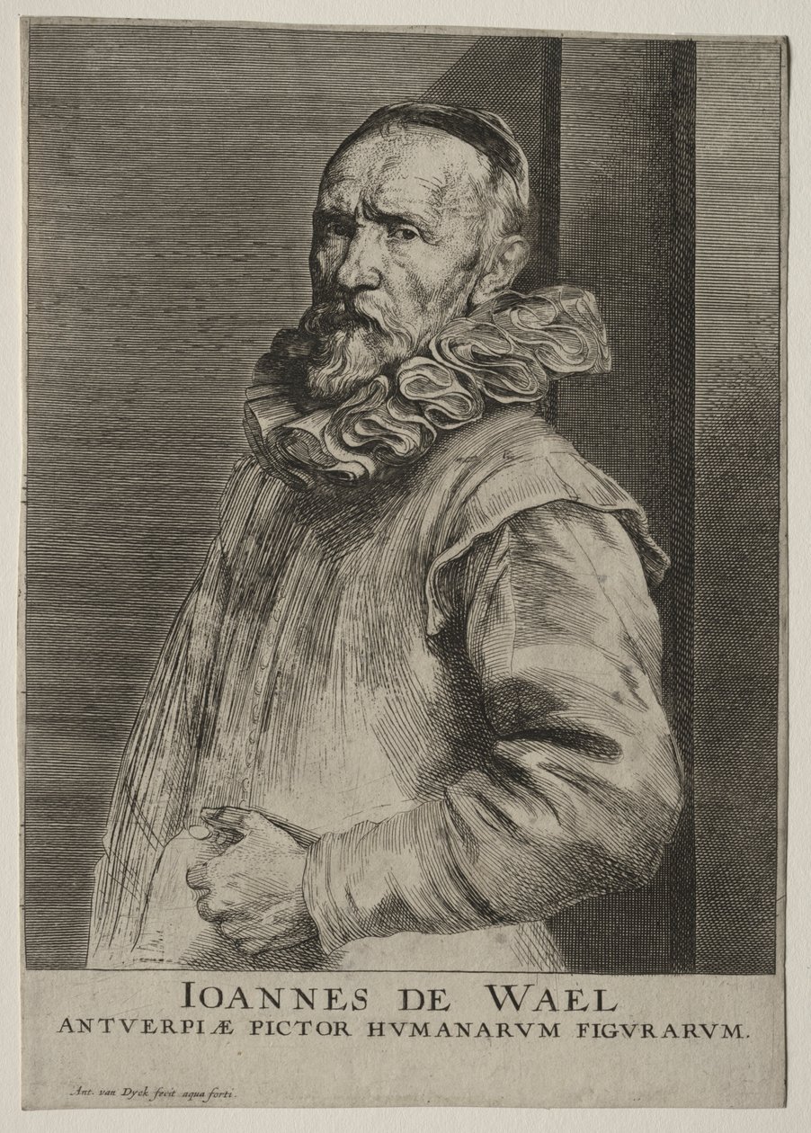 Porträt von Jan de Wael Nevers von Anthony van Dyck