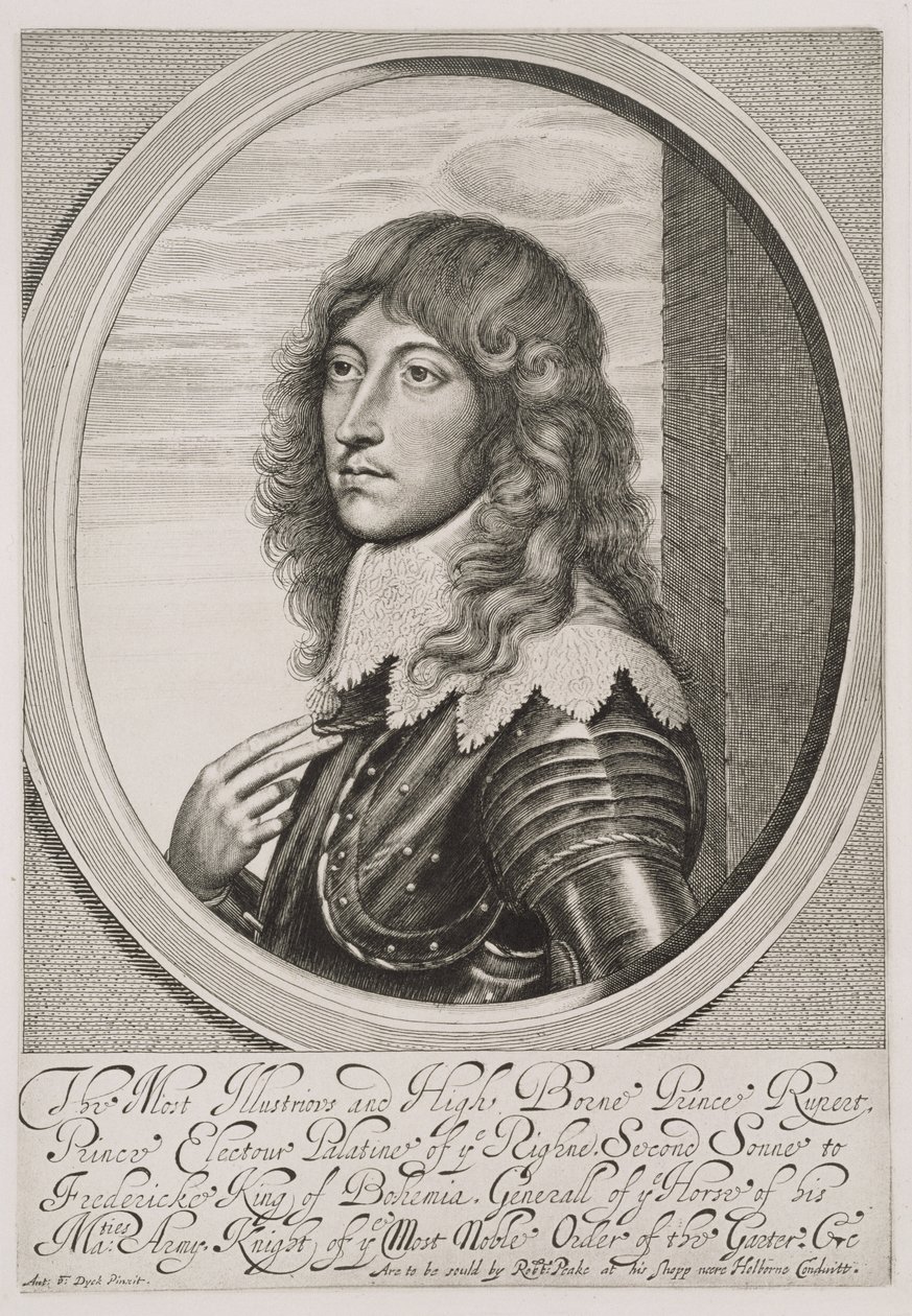 Porträt von Prinz Rupert (1619-82) Pfalzgraf am Rhein und Herzog von Bayern, graviert von William Faithorne (1616-91) von Anthony van Dyck