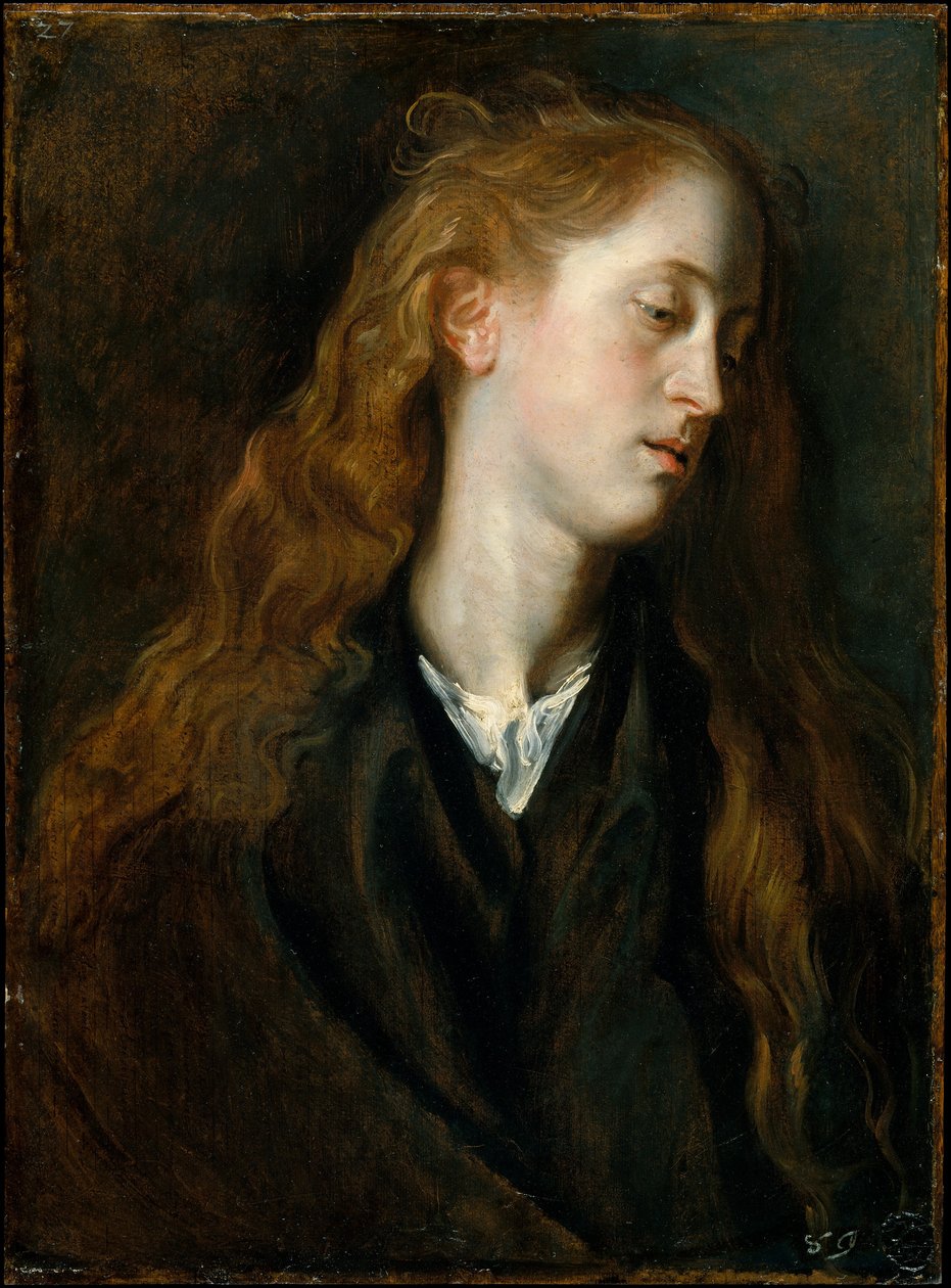 Studienkopf einer jungen Frau von Anthony van Dyck