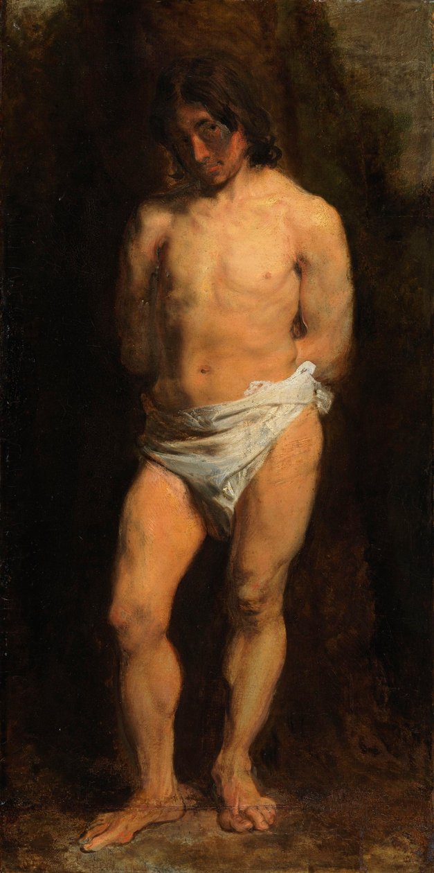 Studie eines nackten Jünglings von Anthony van Dyck