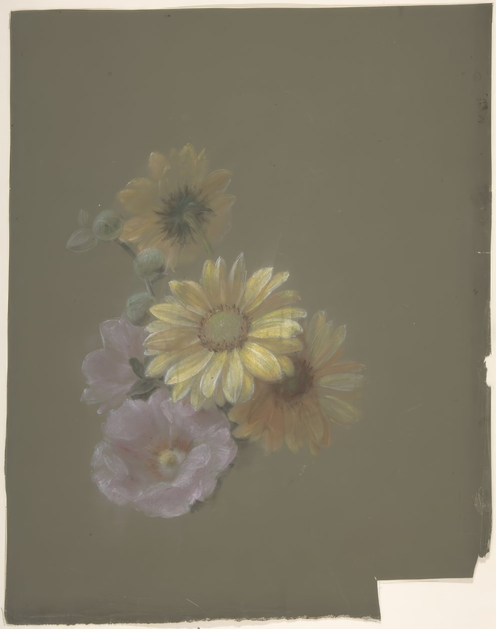 Gelbe Gänseblümchen und Rosa Wildrose von Antoine Berjon